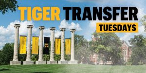 Tiger Transfer Tuesdays