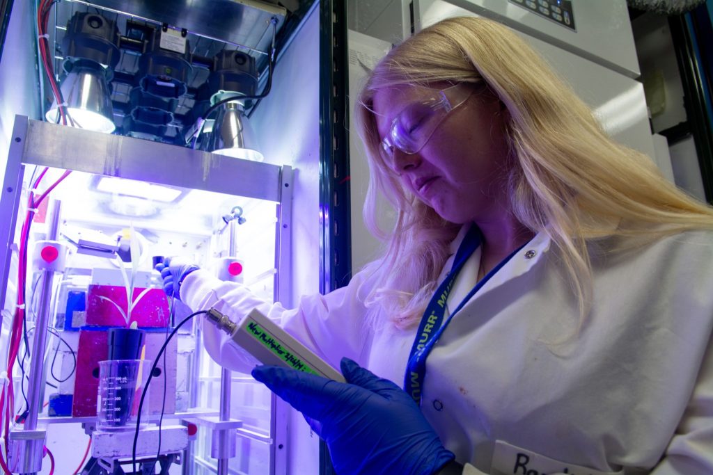 Randi Noel, wearing a white lab coat and holding a monitoring probe, checks on one of the plants in the lab.